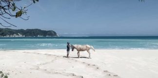 Pantai Tarimbang, Hidden Paradise di Selatan Sumba Timur