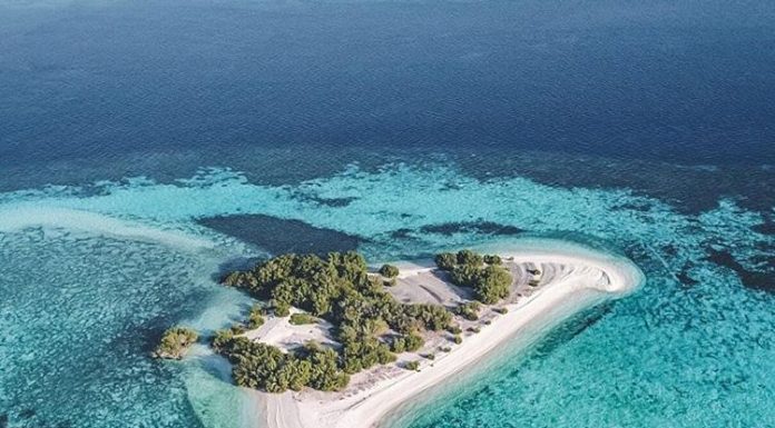 Menikmati Eksotisme Manta Point Labuan Bajo