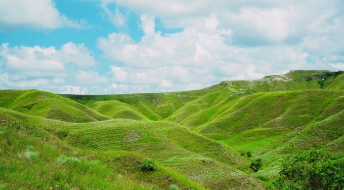 Pesona Bukit Tenau di Sumba Timur