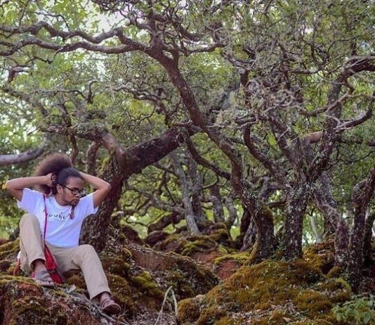 Hutan Bonsai, Aroma Mistis Sekalius Eksotis di Tanah NTT