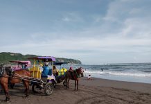 Pantai Parangtritis Yang Mempesona